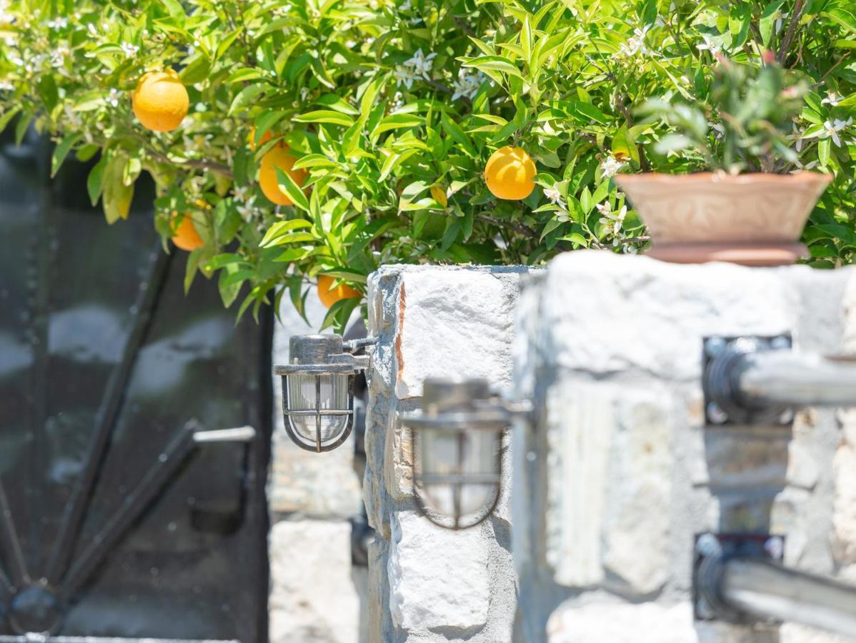 Apartment Rizes House Agios Nikolaos (Chalkidiki)